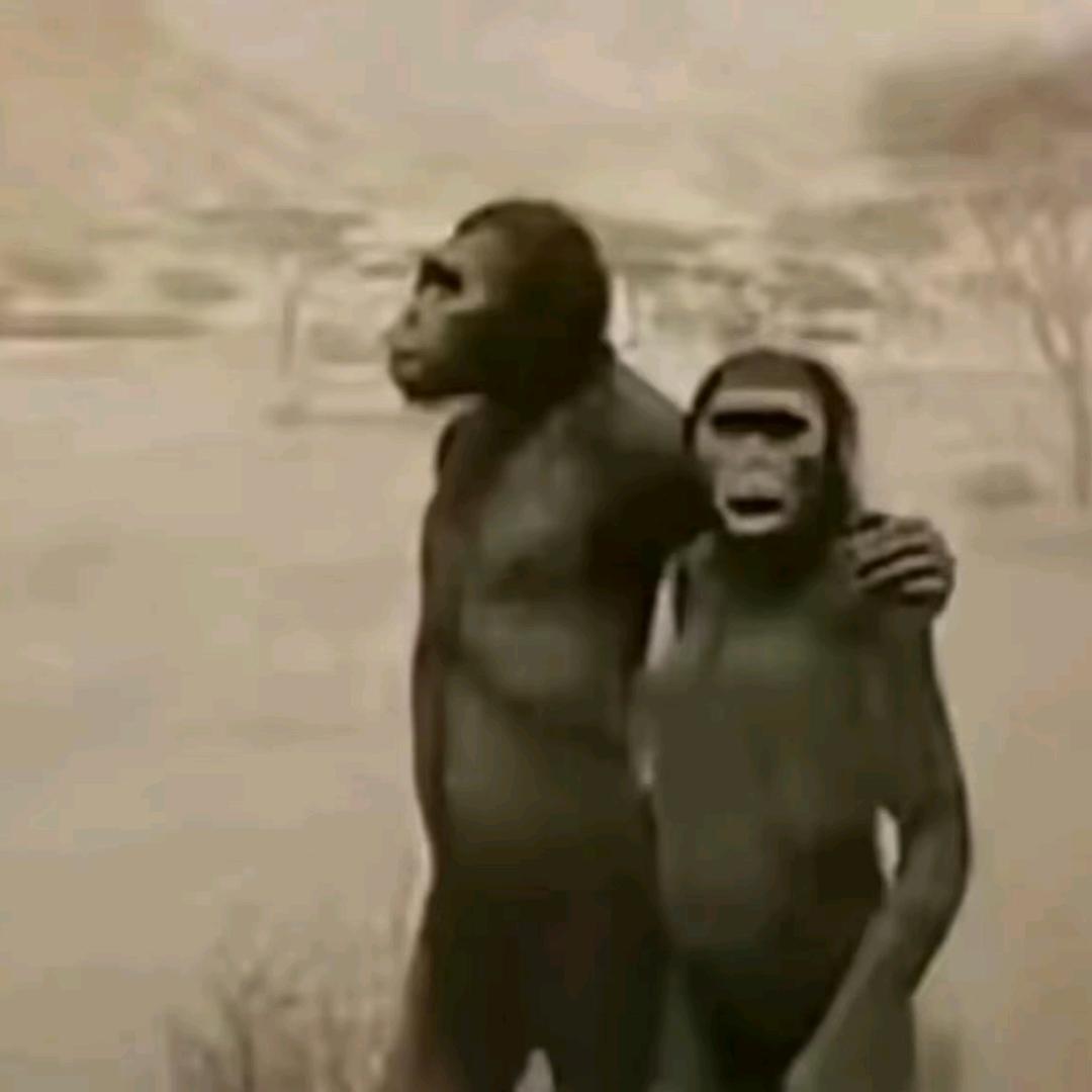 …………………………