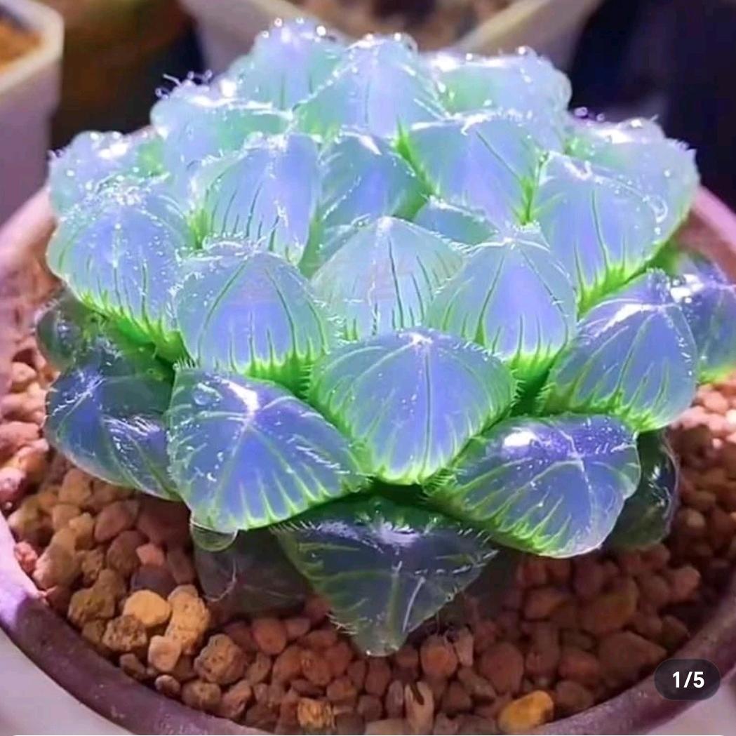 起点