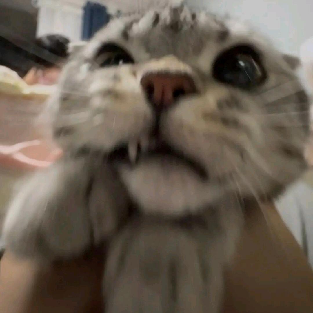 樂O
