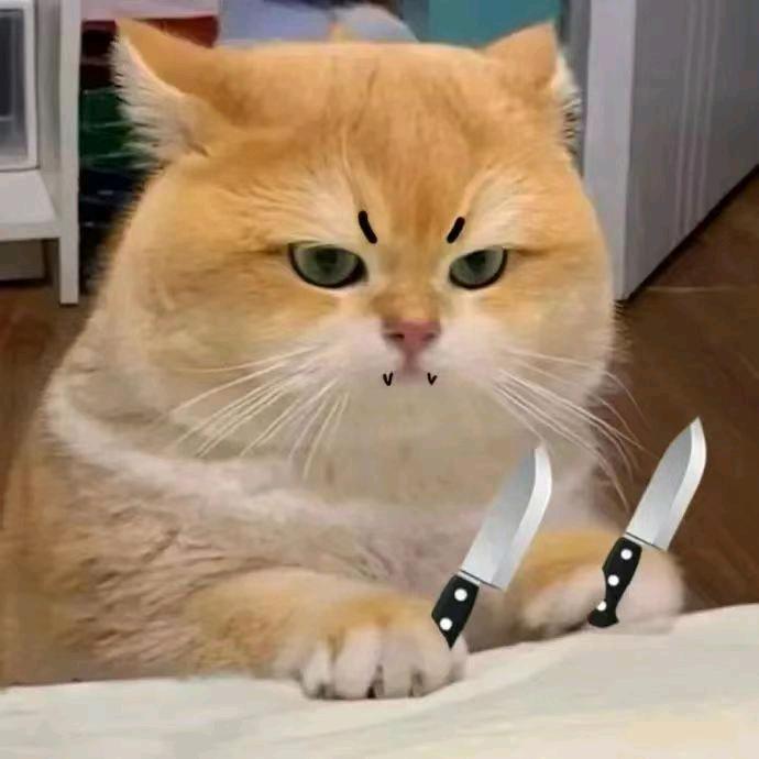 满船清梦压星河♡