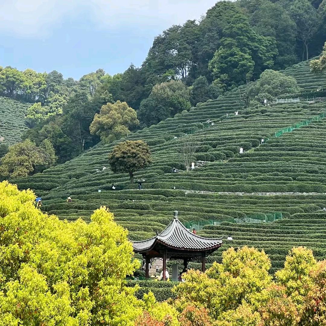 兵