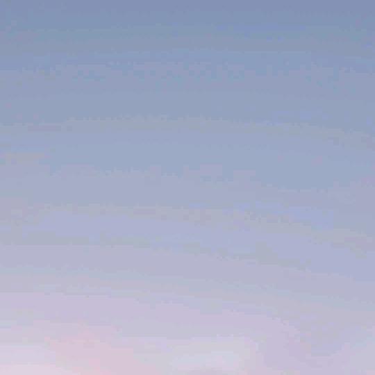 呢呢