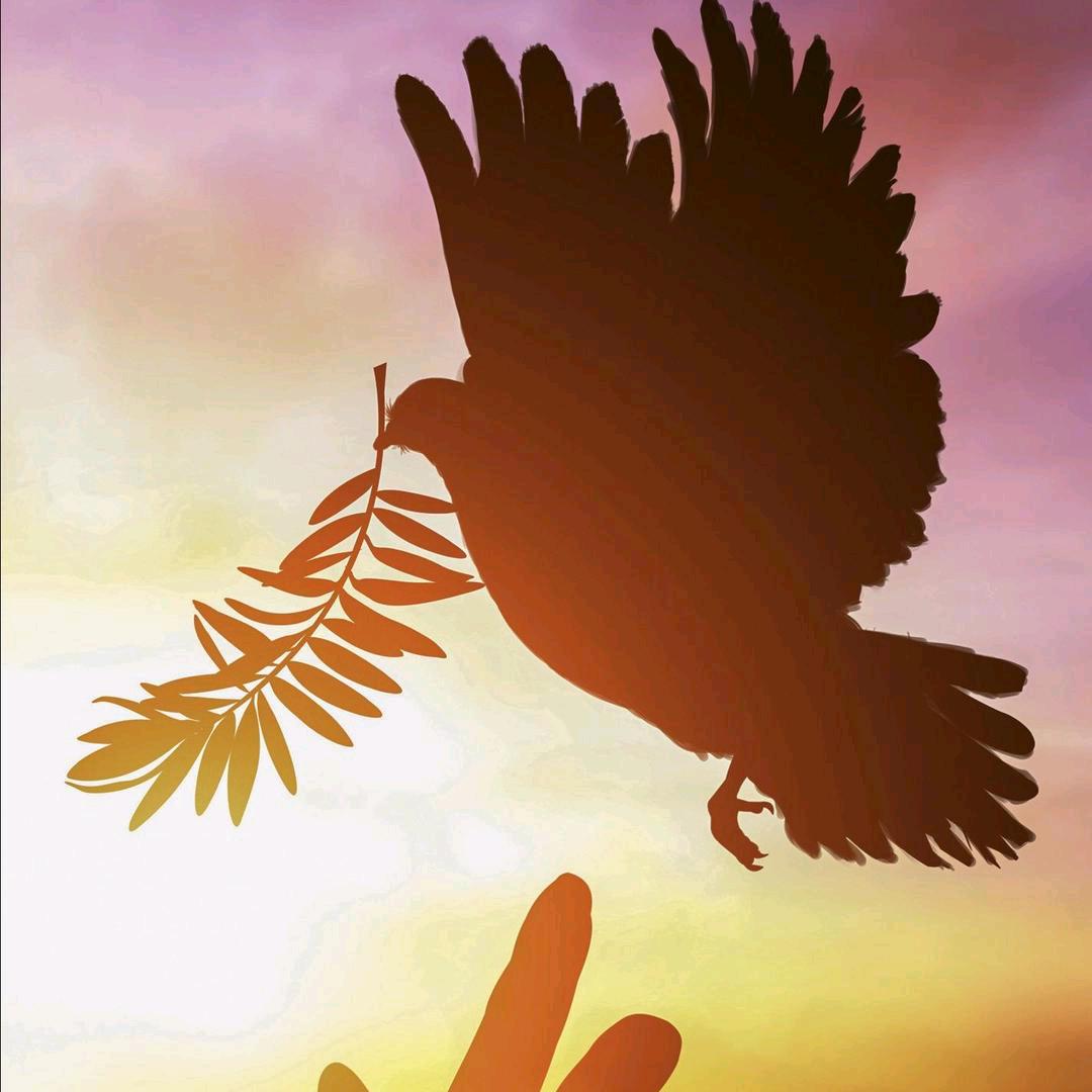 太阳镜😄🍰🌈