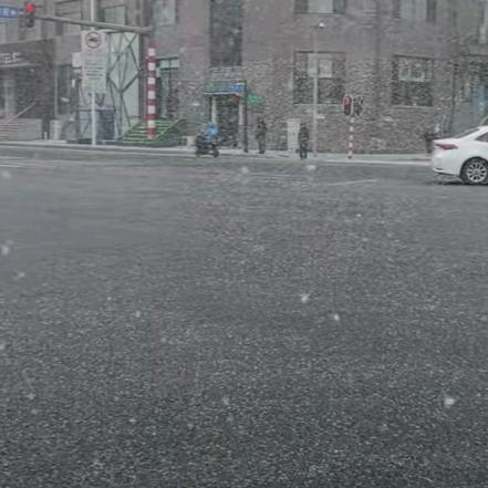 赵子柠
