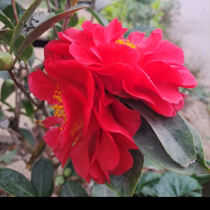 就这范儿(拒私聊)