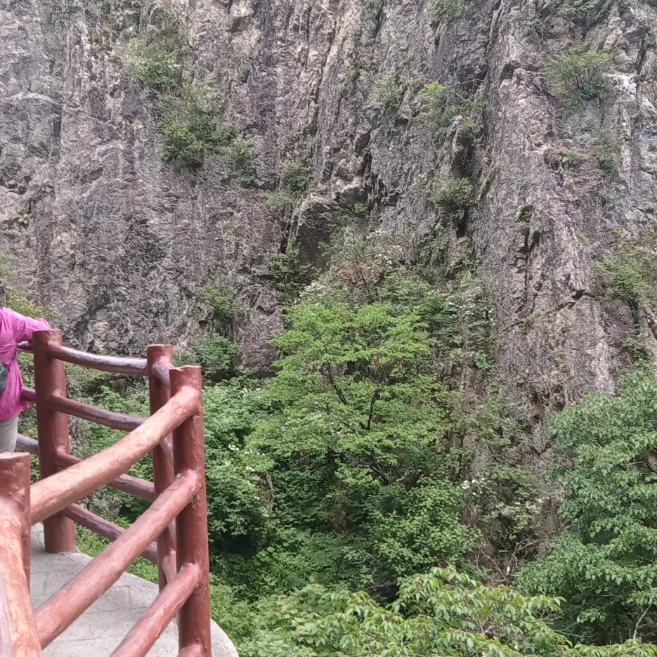 以和为贵
