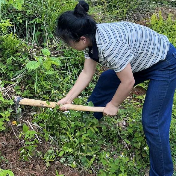田园植语