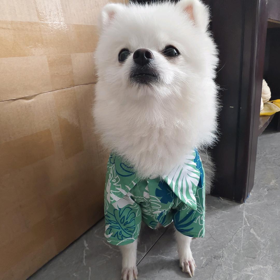 🫡踮起脚尖拥抱生活🙃