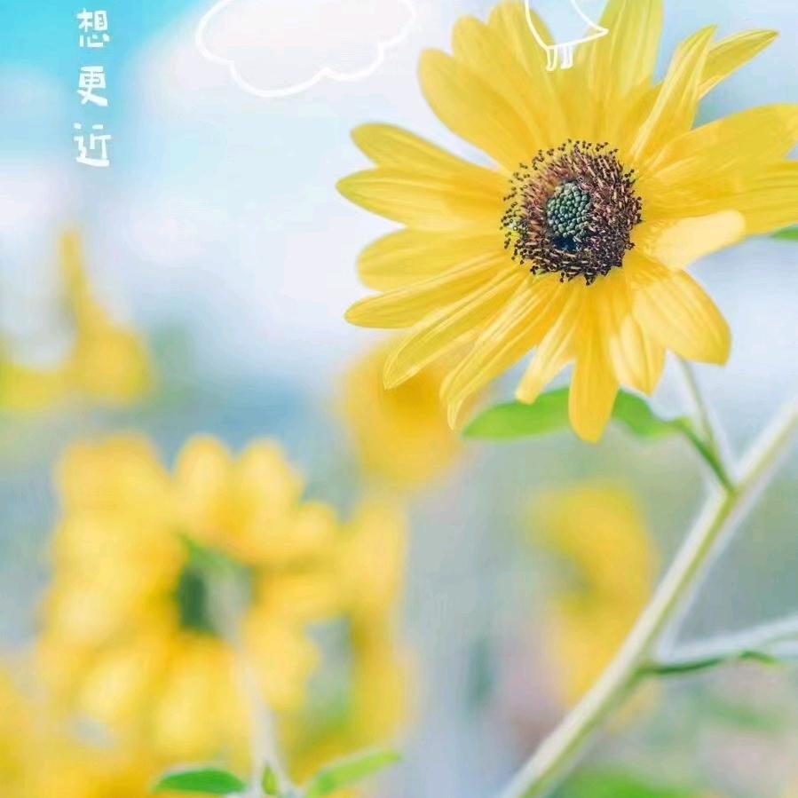 吉～～勒