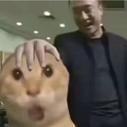 这就是缘分吧（童年怀旧游戏）