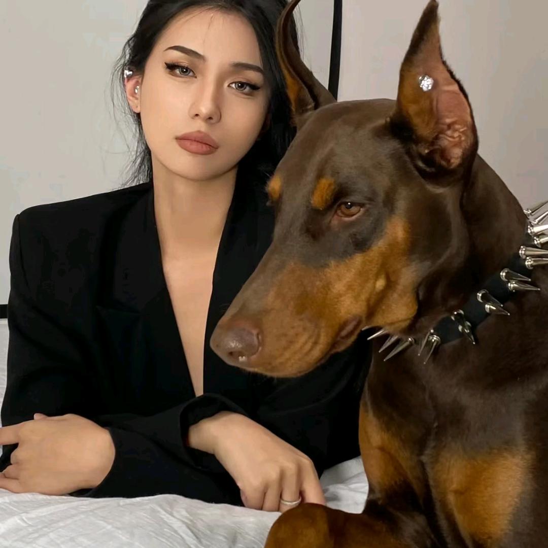 蛋炒饭👑