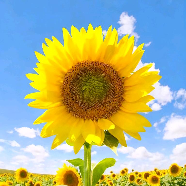 家的温暖，战胜一切！