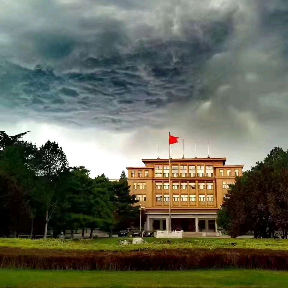 我与鱼的故事