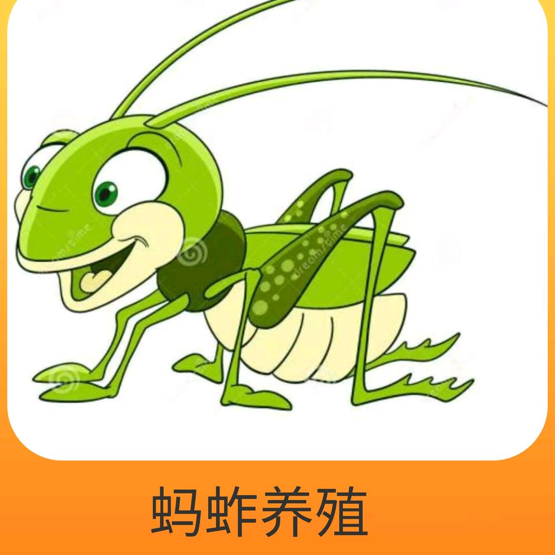 安丘市洪云土特产