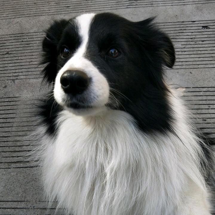 莫非前世那一眼