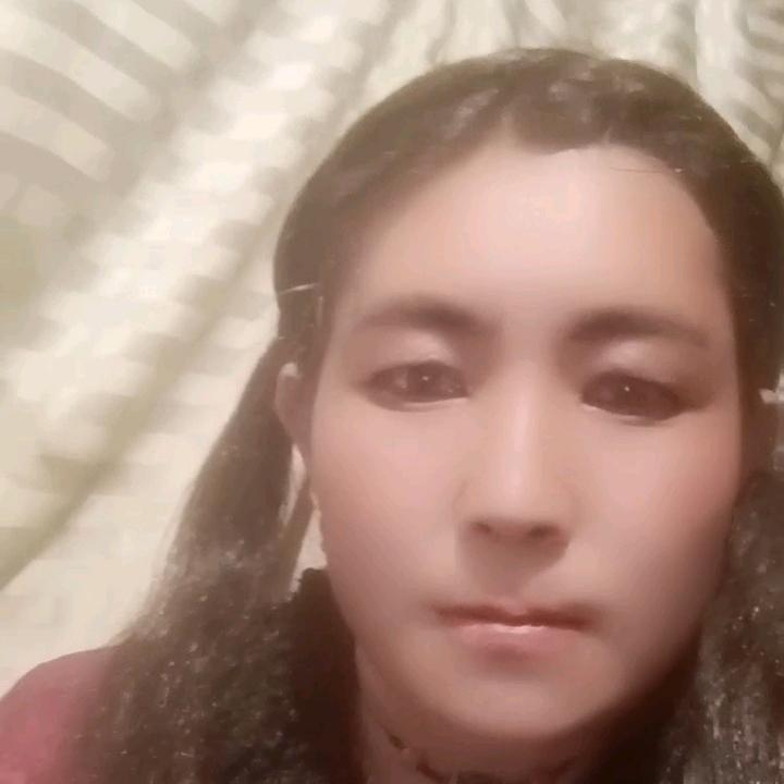 藏家姑娘