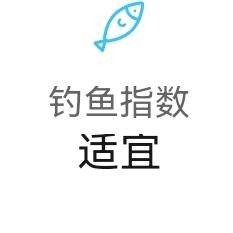 粪球穿毛毛裤滚铁头