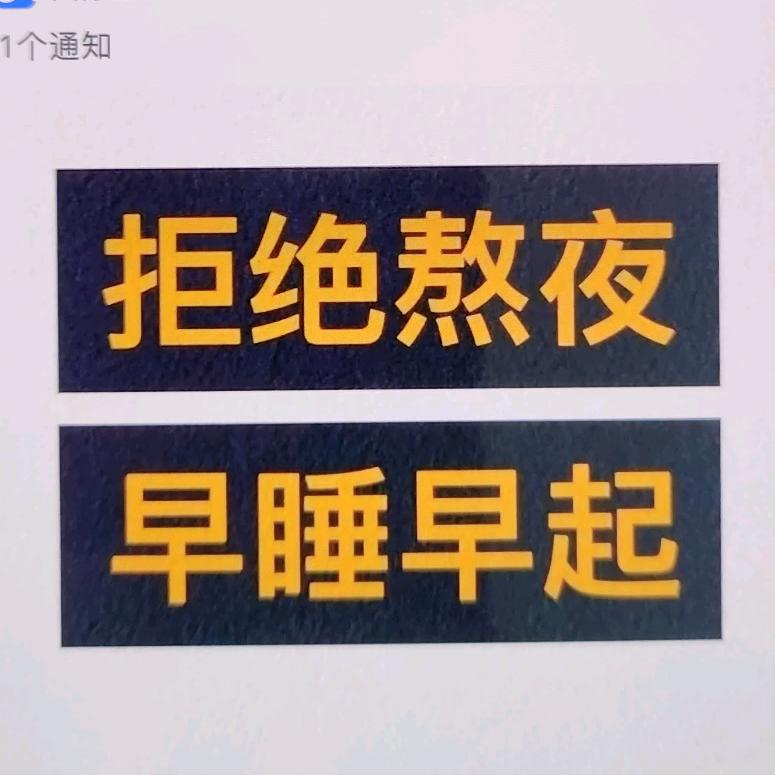 高清干饭喵