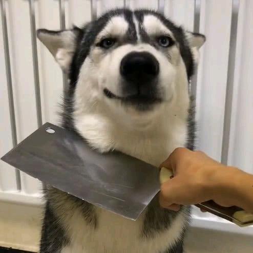 孟德综合征患者