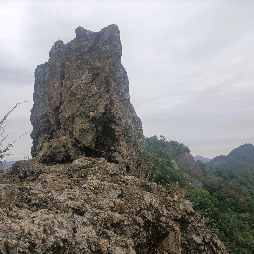 大地