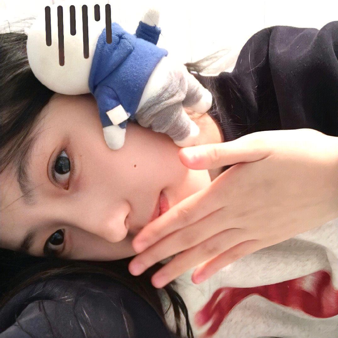 酱酱鸭