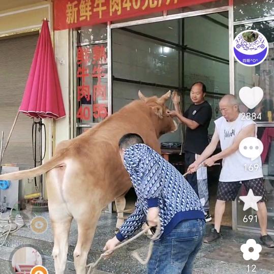 四哥^O^三