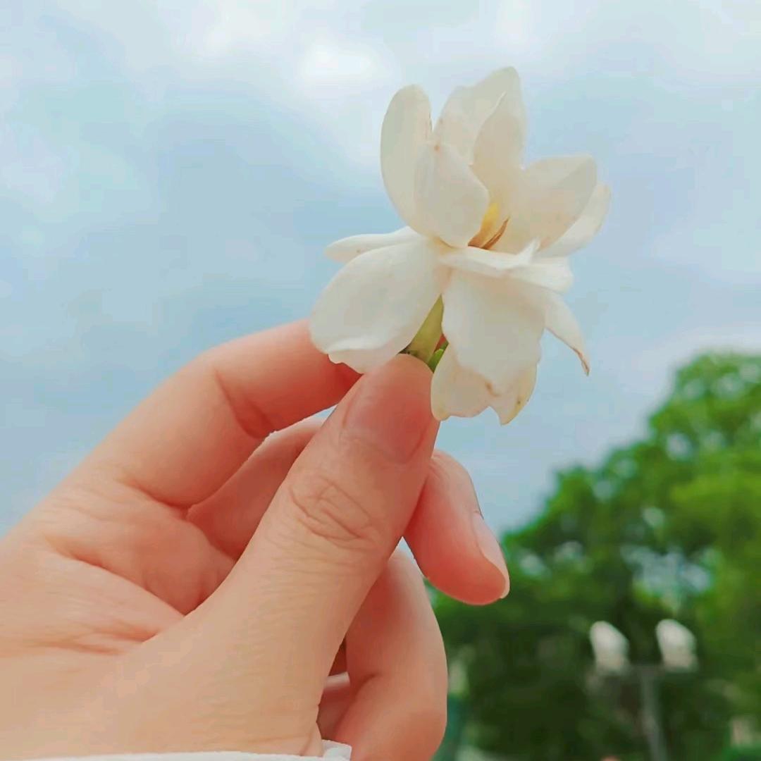 泥巴拉