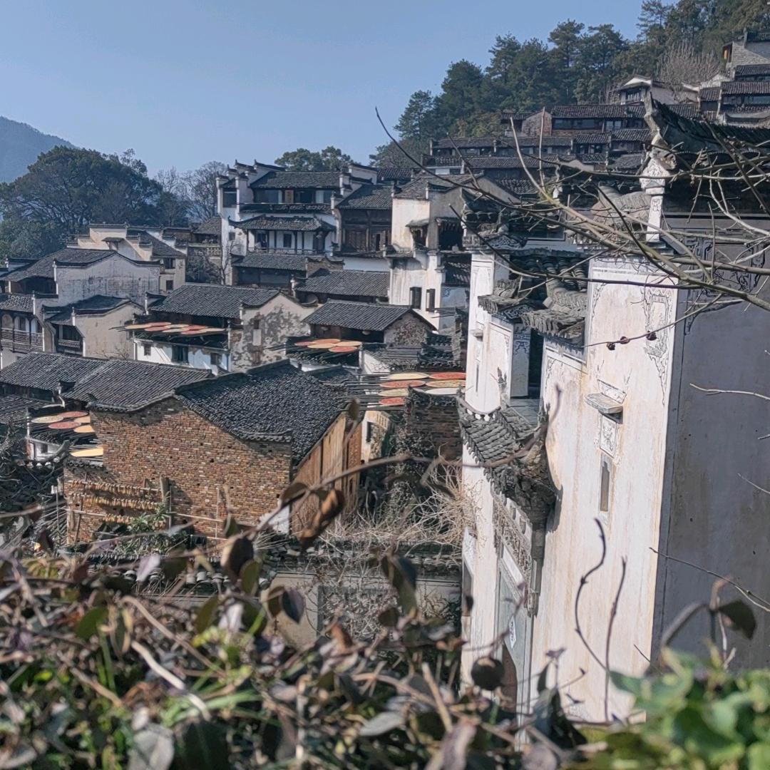 开化清水鱼庄(常秀店)官方号