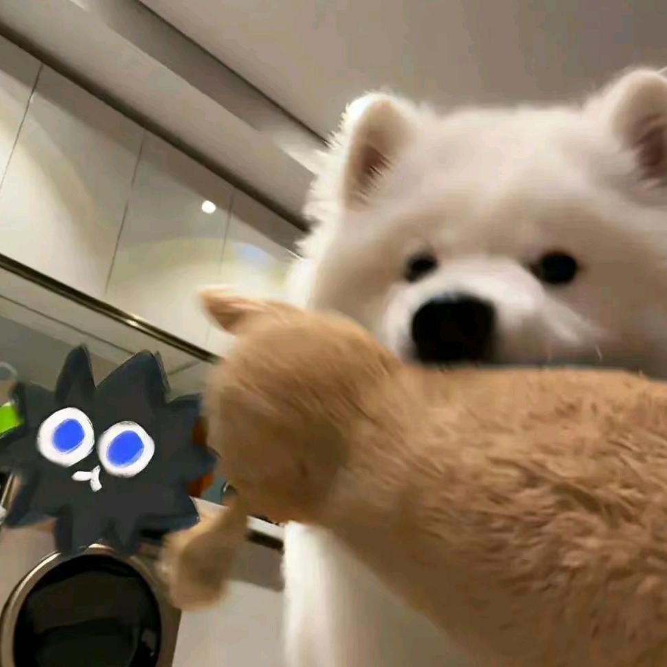 我耀丸了