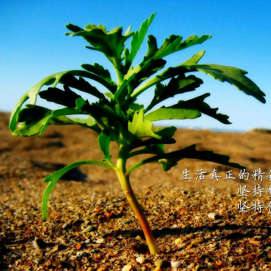 💋开朗🦸‍♂️