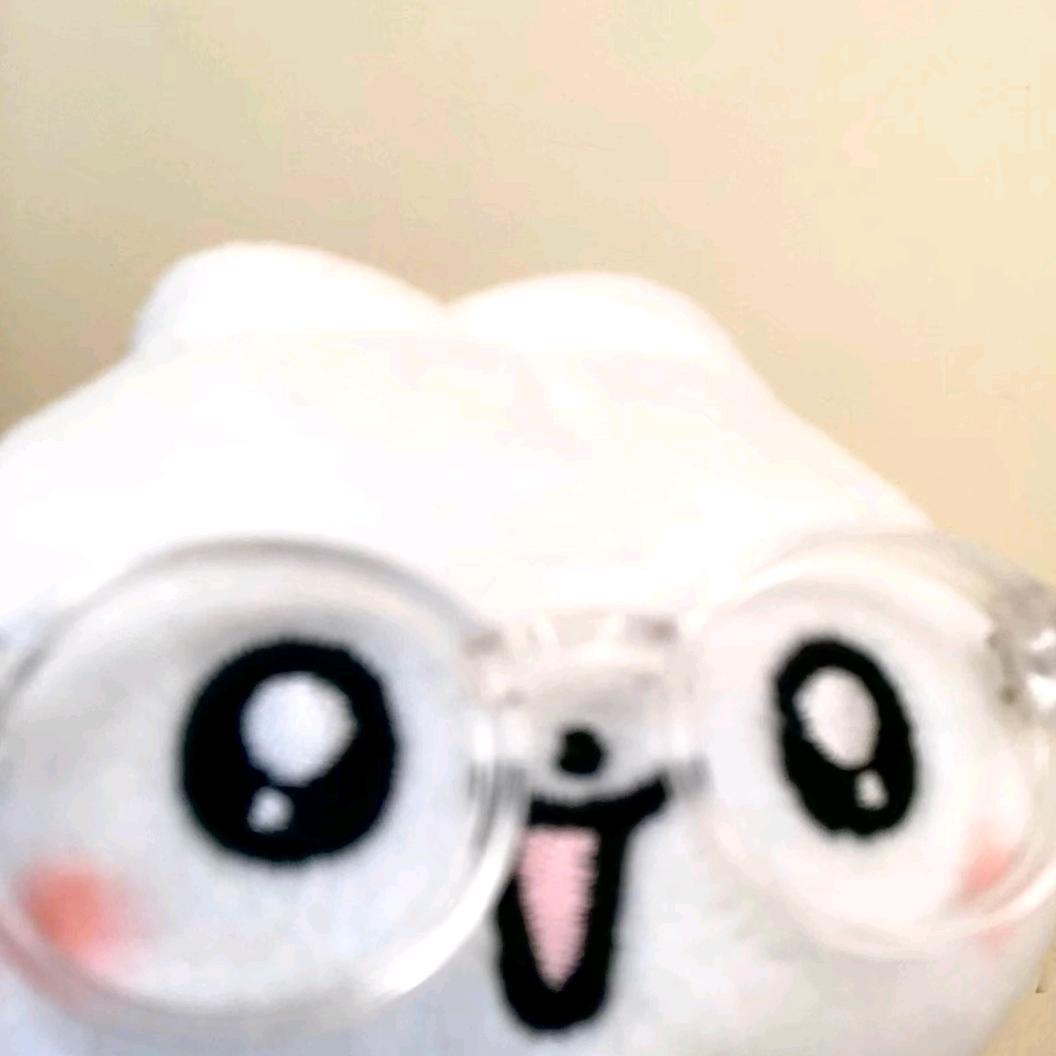 呆
