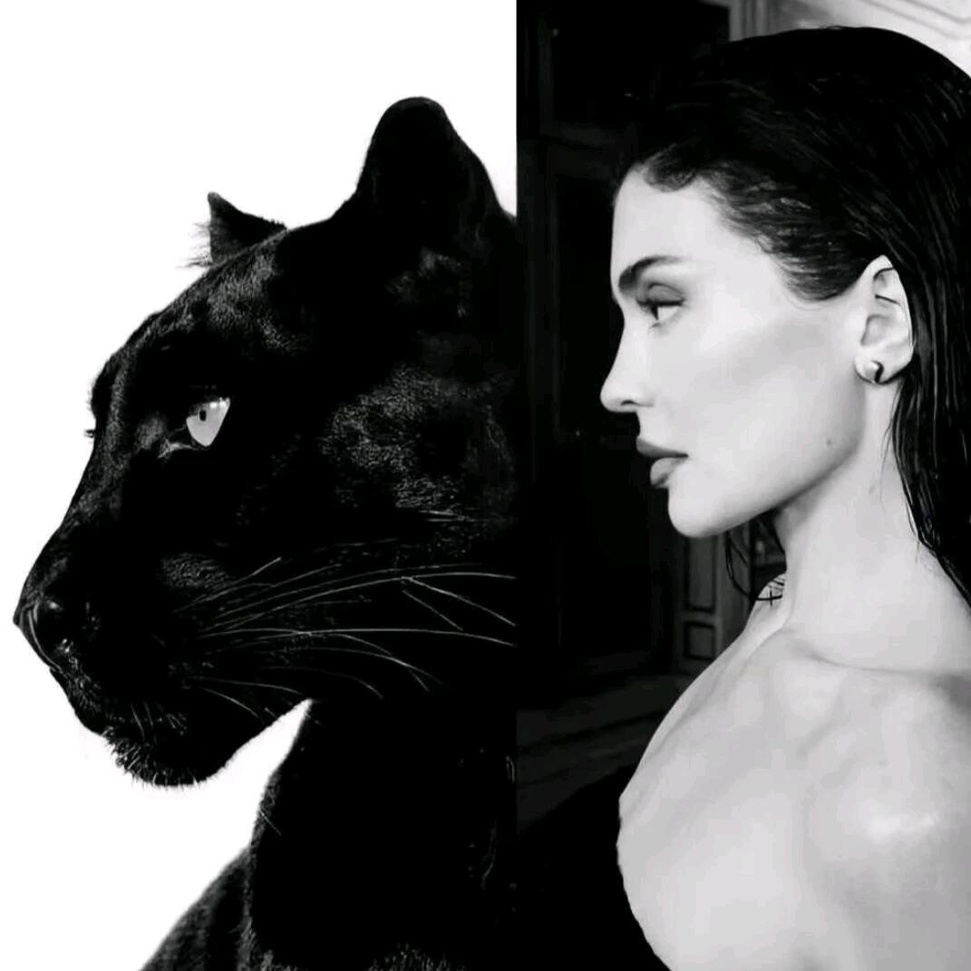 小明家·奢雅包集