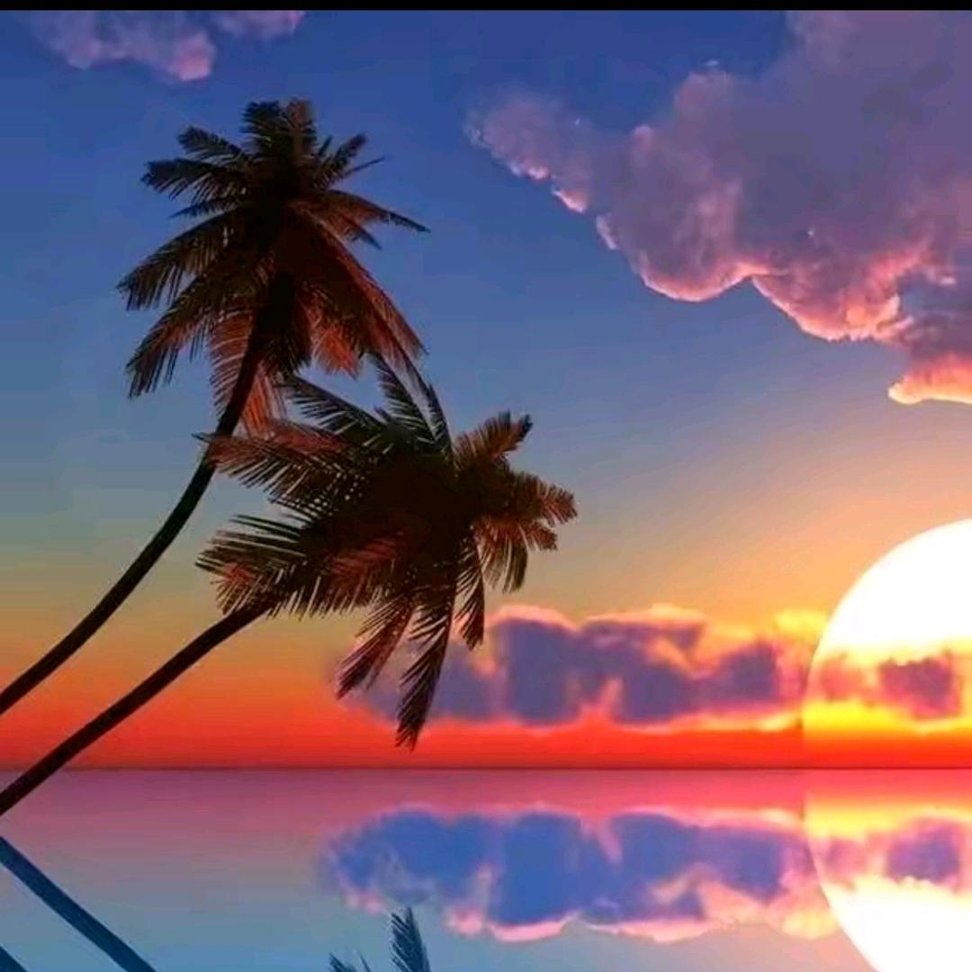 夕阳