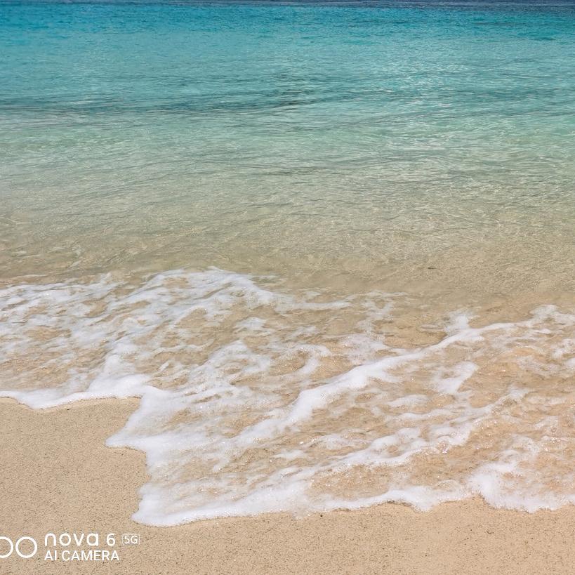 🌴🌴🐾 ～～🐬