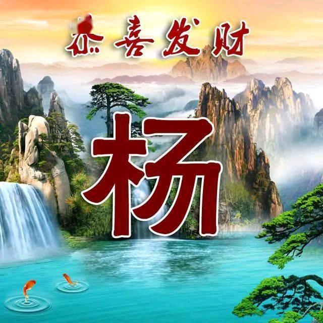 杨子好物优选