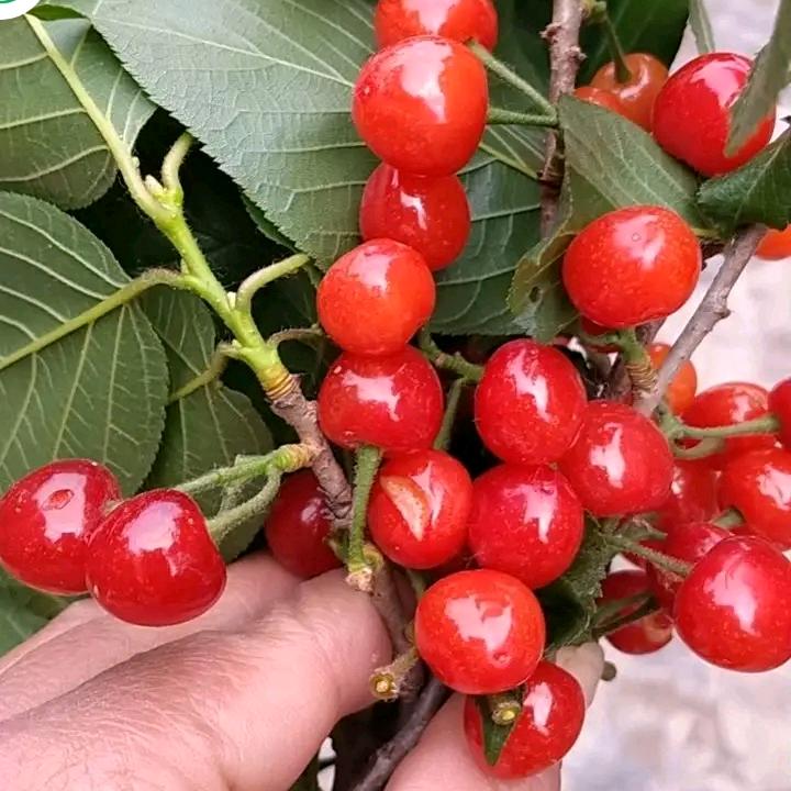 未来的路上继续前行