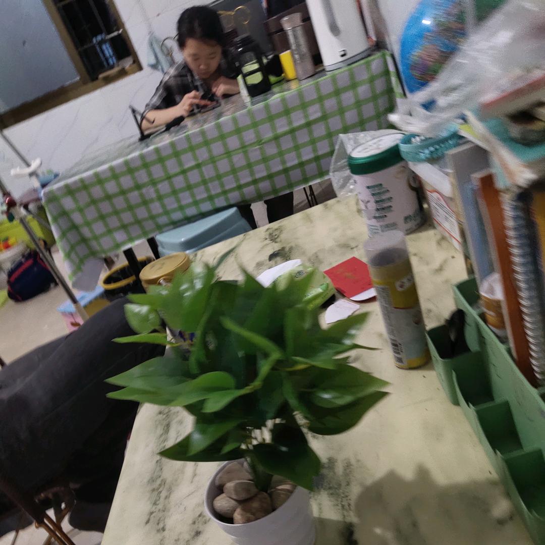 玲玲成长记