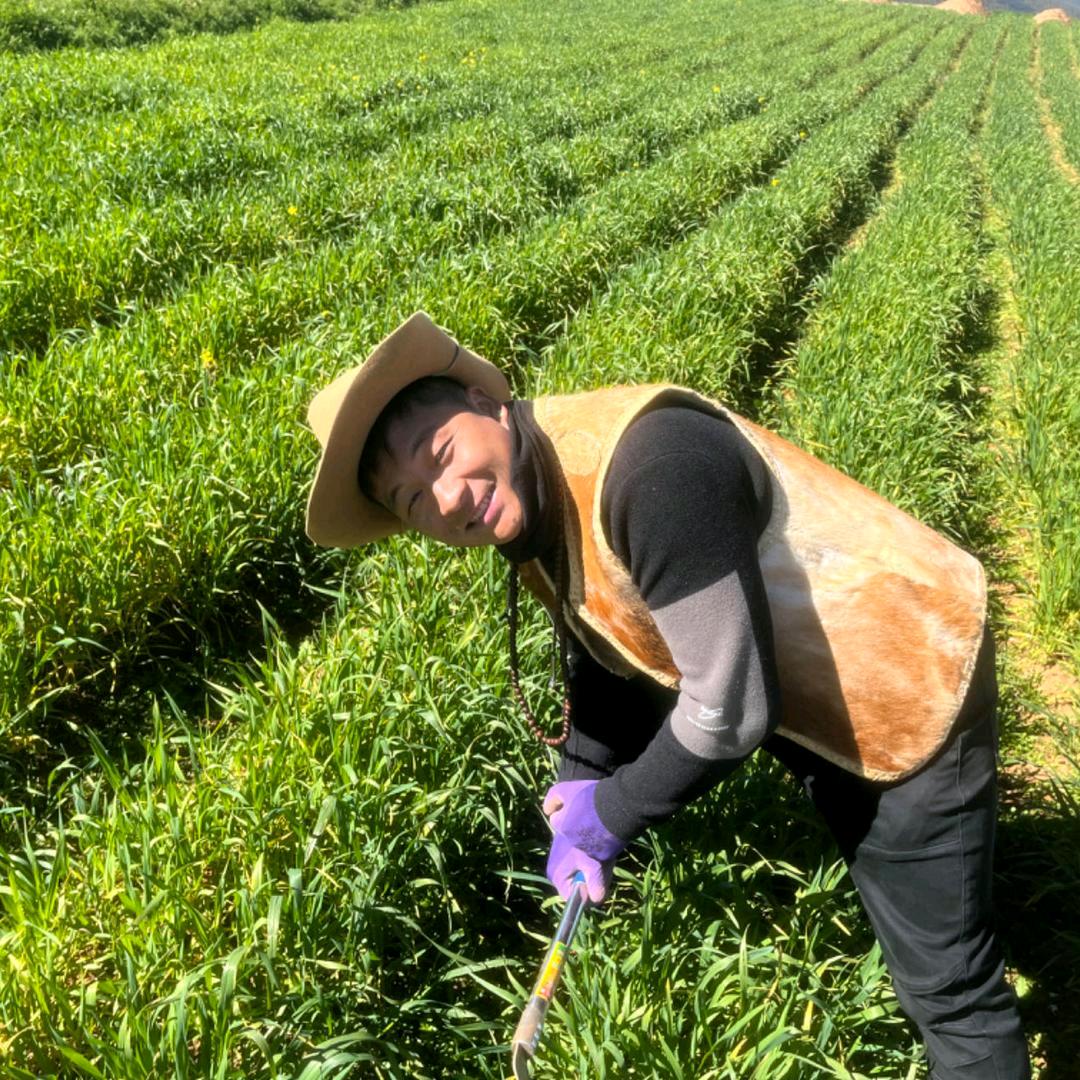 云甘子花林居滋补养生专卖店高原好物