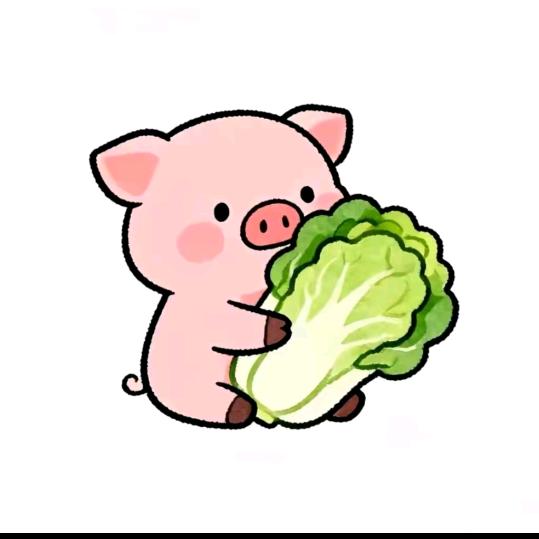 别动我的小白菜🥬