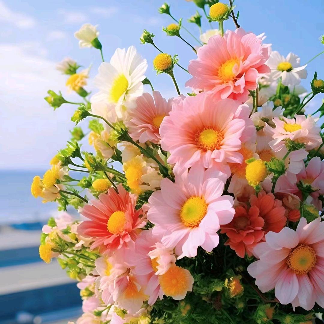 莲小花
