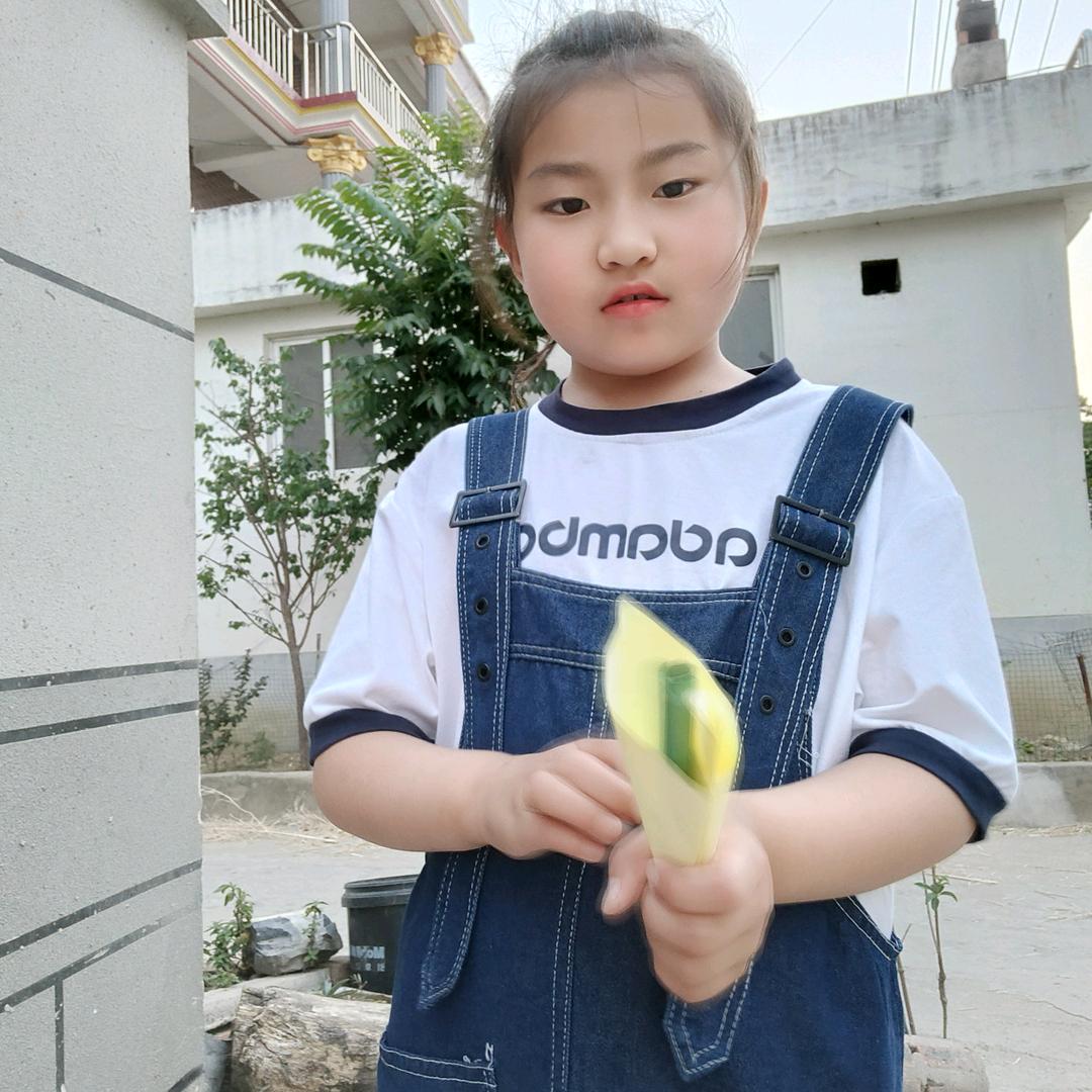 邢家二姐