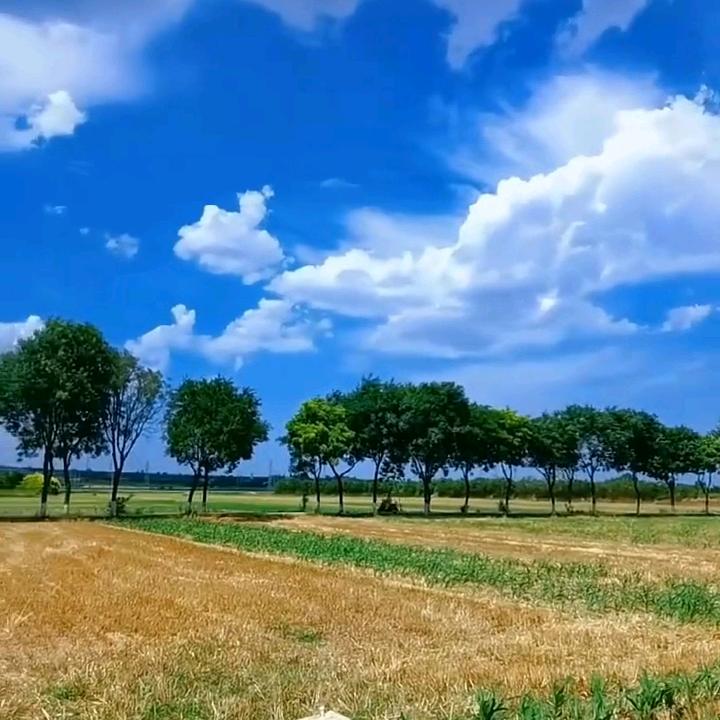 敢拼才会赢✨