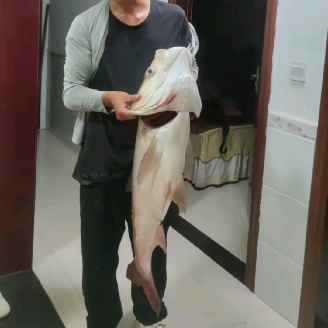 徐权钓鱼🎣