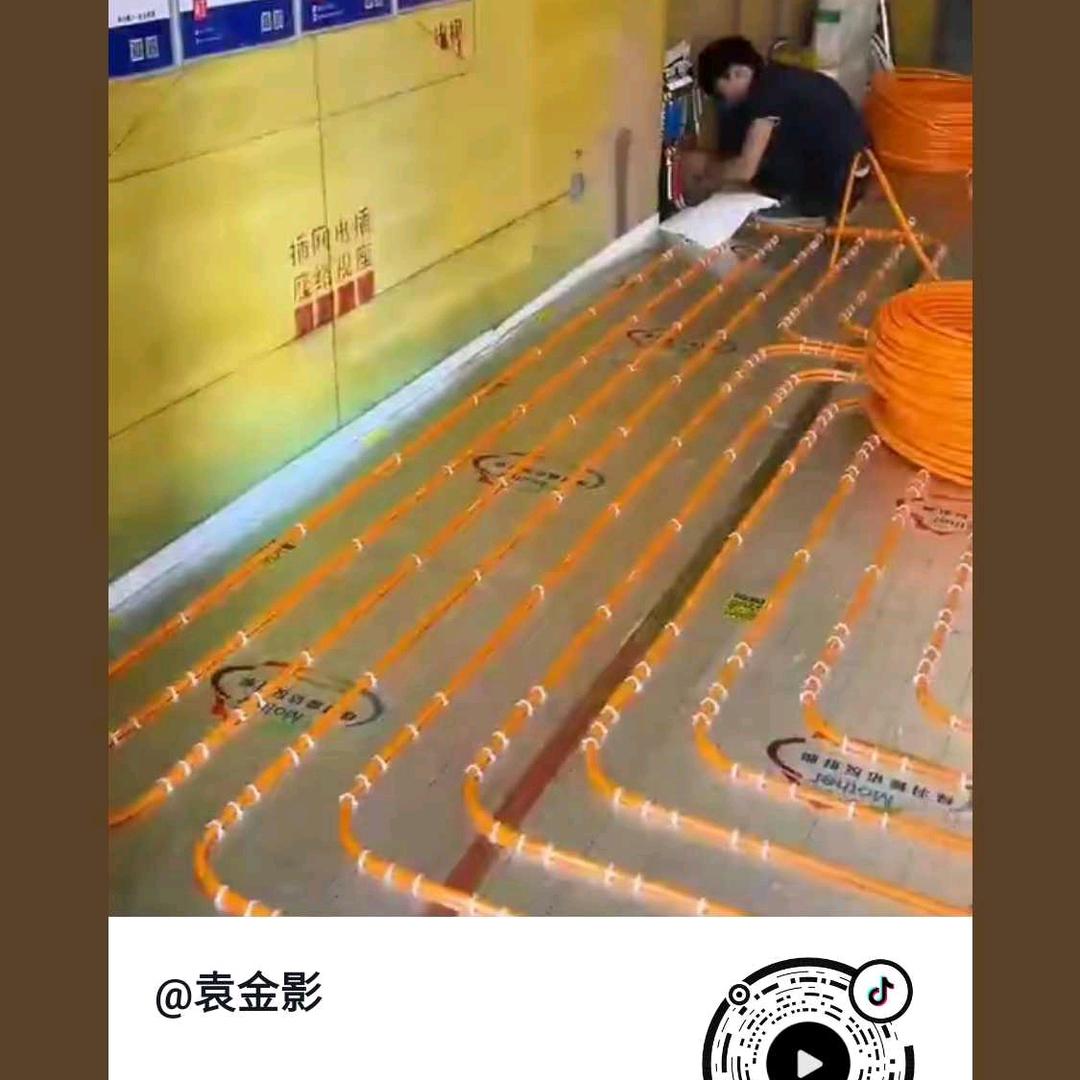 董飞