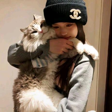 毛茸茸的倦茸99