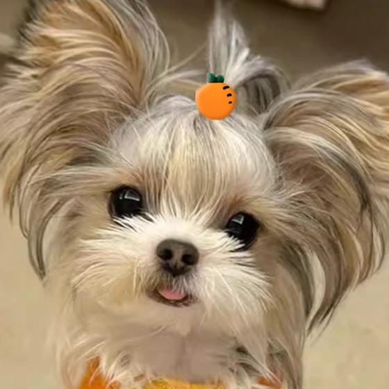 怑槑怑萌怑呦稚