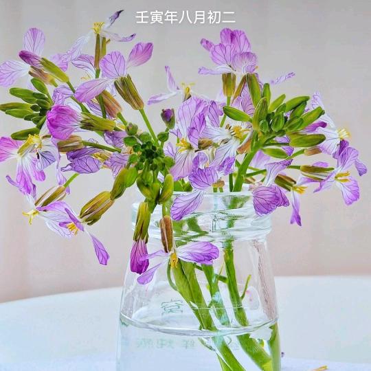 为你明灯三千
