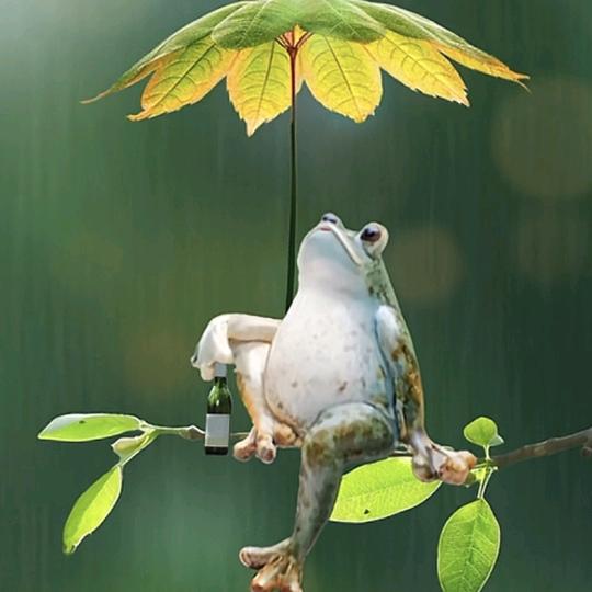 云做的雨
