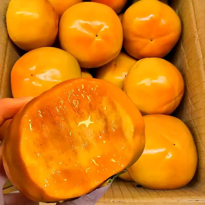 巧克力脆柿（明日达）