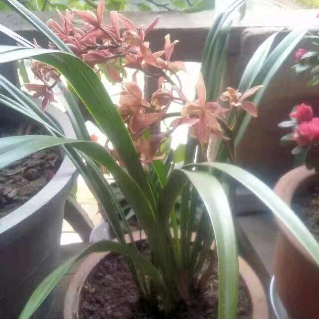 别拿事说事